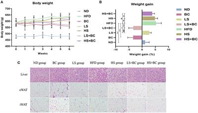 Modulation of the gut microbiota and lipidomic profiles by black chokeberry (Aronia melanocarpa L.) polyphenols via the glycerophospholipid metabolism signaling pathway